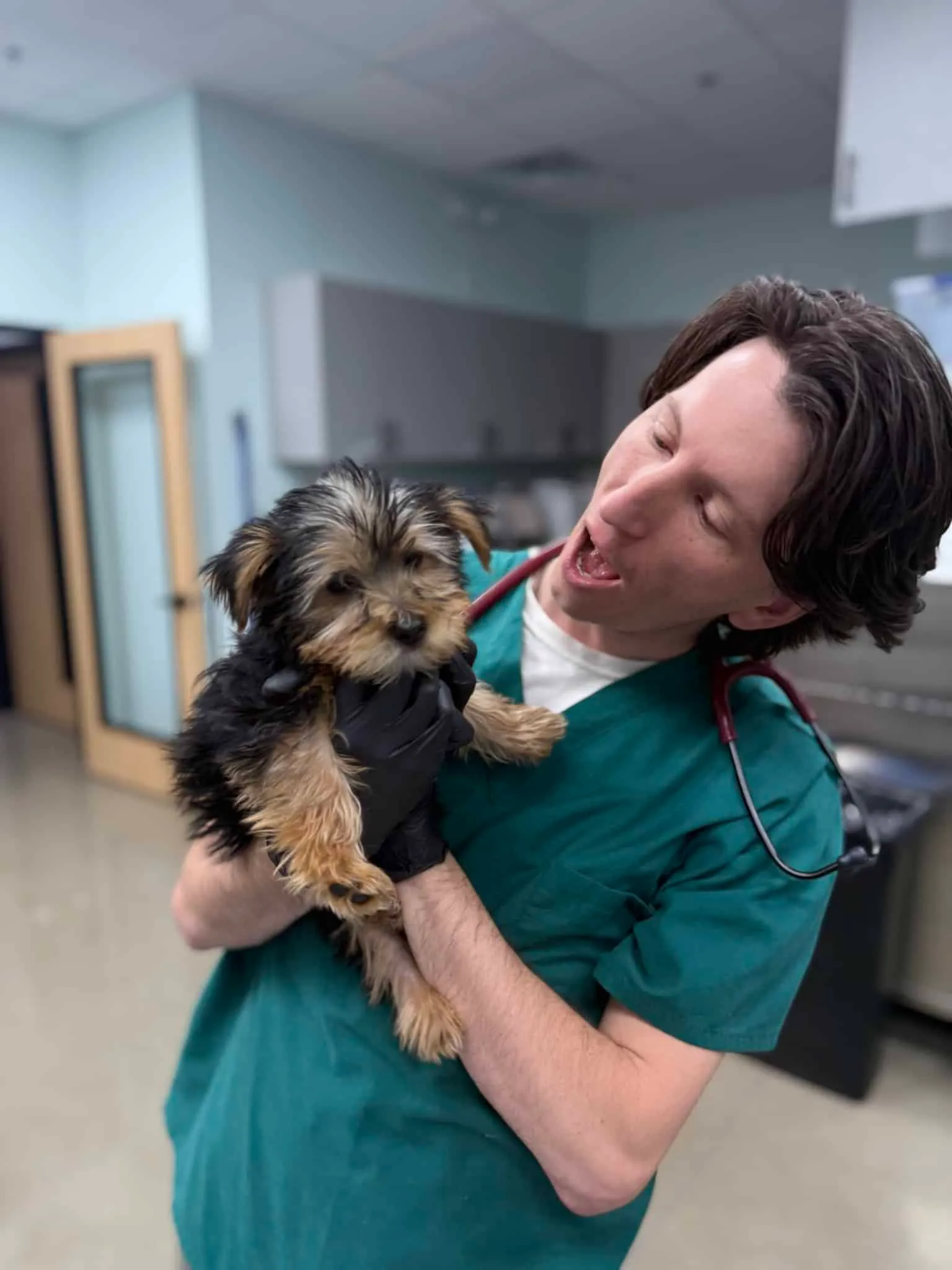 Dr. William Hodges holding a Yorkie puppy