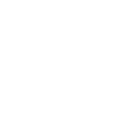 Emergency icon