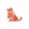 Pet X-ray