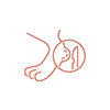Wounds and Abscesses