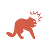 Pet blood work